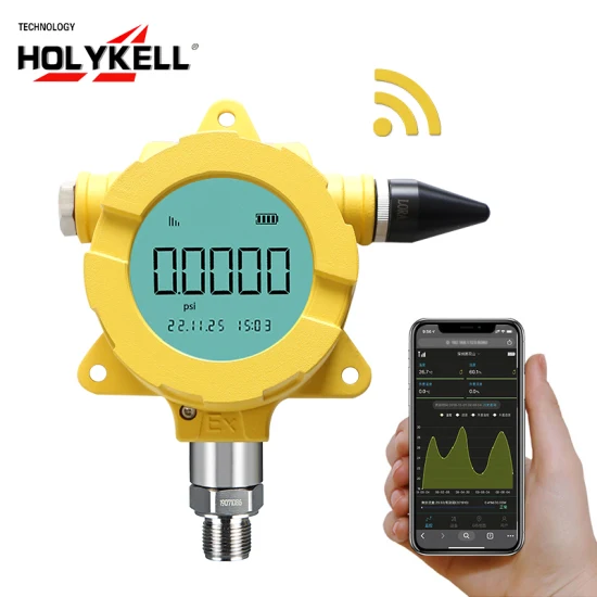 Holykell Explosionsgeschütztes LCD-Display GPRS 4G Drahtloser Wasserdrucksender